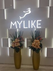 -深圳美莱医疗美容医院