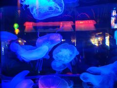 -太平洋海底世界