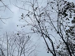 -楠溪江风景名胜区