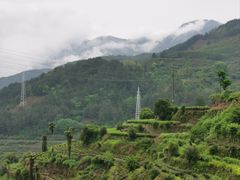 -杨家堂村