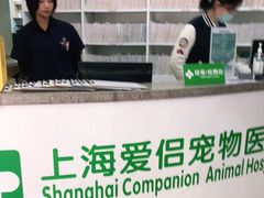 -爱侣宠医·鹦鹉专科·小型哺乳类·异宠专科(灵石路店)