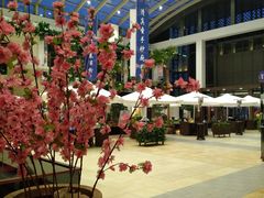 -缤圣源中国清真菜(群力店)