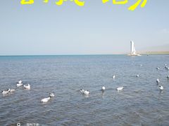 -青海湖国家重点风景名胜区