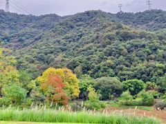 -黄公望隐居地