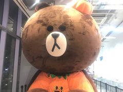 -line friends(明洞旗舰店)
