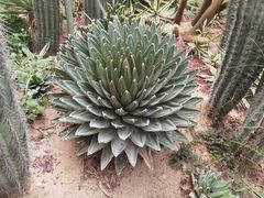 -正佳雨林生态植物园