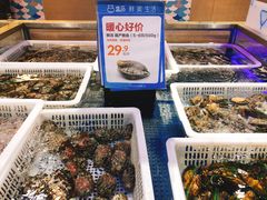 -盒马X会员店(王府井奥莱UP TOWN店)