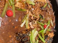 -老板恋上鱼(印象城店)