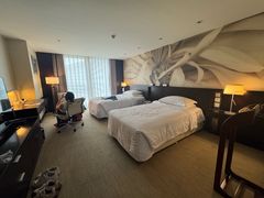 -国家会议中心大酒店