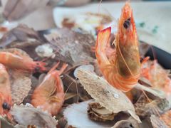 -港畔赶海蒸汽海鲜烧烤自助(仙螺岛店)