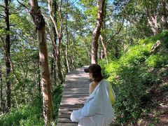 -白草畔自然风景区