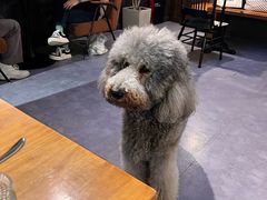 -沏点Trattoria意大利餐厅(新街口店)