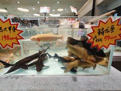 -万龙洲海鲜(大兴绿地缤纷城店)