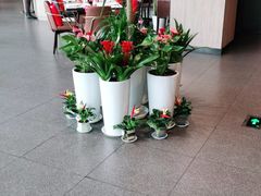 -西堤牛排(合肥之心城店)