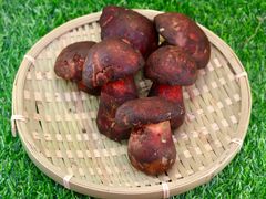 -山人野生菌餐厅