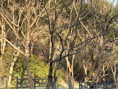 -宁波五龙潭景区