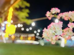 -陶缘一号·四季缘·老字号顺德菜·户外婚礼家宴(西滘店)