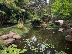 -秋霞圃