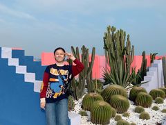 -漳州滨海火山岛自然生态风景区