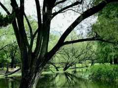 -上海共青森林公园