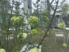 -同里国家湿地公园