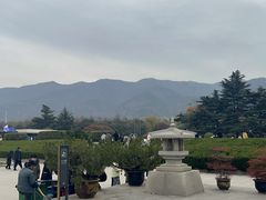 -秦始皇帝陵博物院-丽山园
