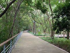 -西湖风景区-江洋畈生态公园
