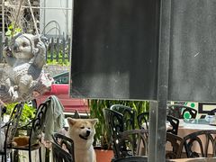 -京北渔家傲
