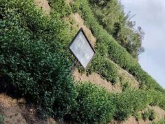 -径山寺