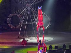 -灵玲国际马戏城