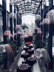 -杭州运河黄龙璀丽酒店-宴会厅