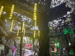 -横店影视城梦幻谷园区