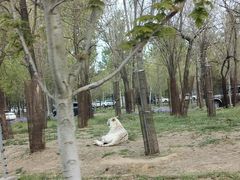 -秦皇岛野生动物园