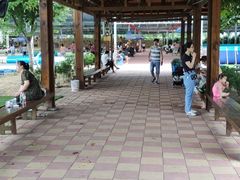 -东风公园