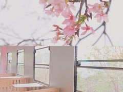 景点-小南山公园