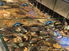 -川骄海鲜自助(亚运村店)