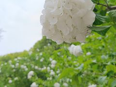 -中山公园