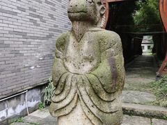 -龙潭水乡
