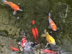 -漫笙舍Manse·咖啡·民宿