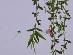 -渭河城市绿地运动公园