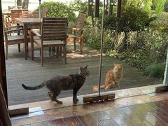 -浙江西子宾馆·瑶园咖啡厅