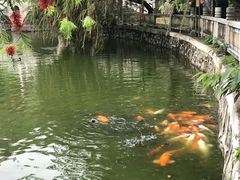 -星海公园(番禺区)