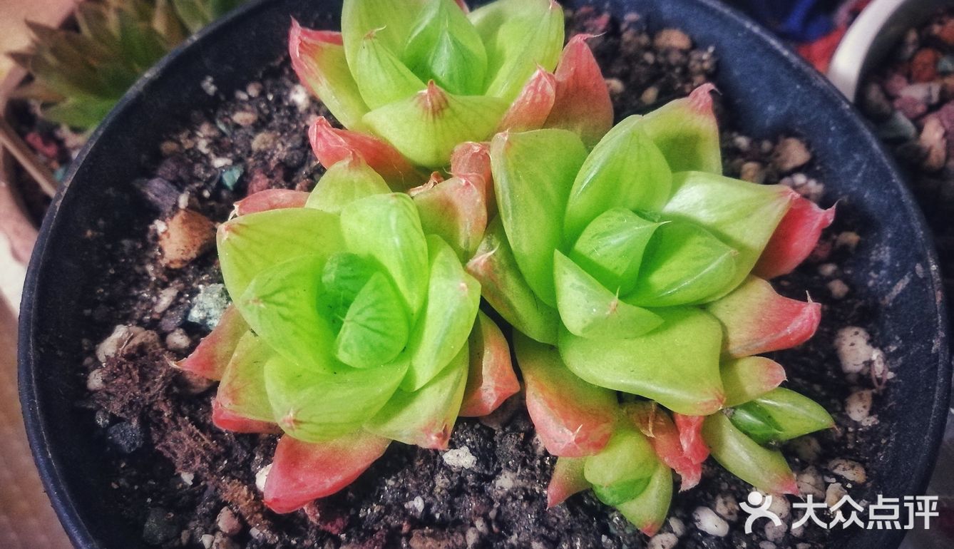 入坑3年 感谢你们的陪伴