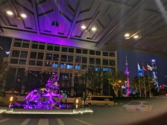 -上海苏宁宝丽嘉酒店·Cafe Bellagio西餐厅