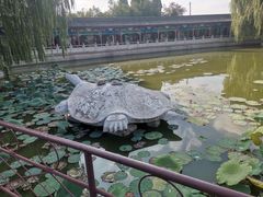 -东方巨龟苑景区