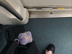 -车公庙(地铁站)