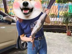 -鸿渡渔庄·特色鸭咀鱼