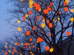 -龙湖星悦荟(颐和店)