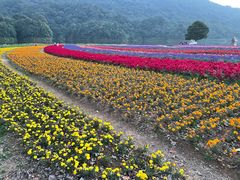 -广州市石门国家森林公园