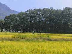 -塔川景区